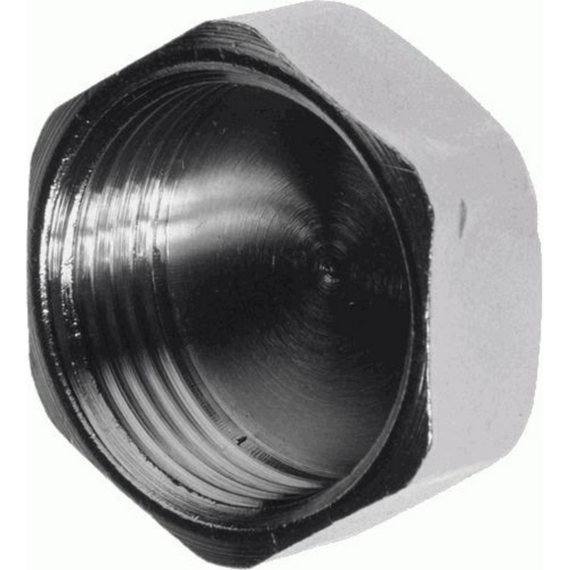 Заглушка на трубу 2" GF 