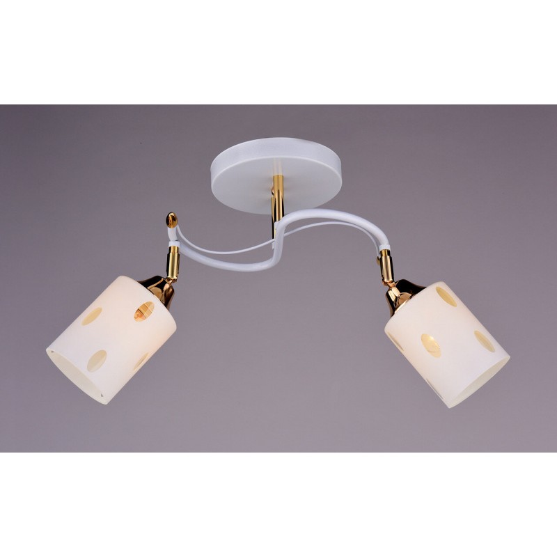 Светильник РС18192  WT+FG/2C (металл, стекло,Е27)