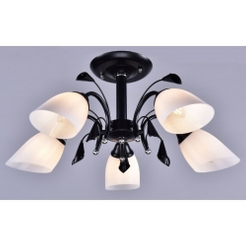 Светильник РС21885 BK+CR/5C 