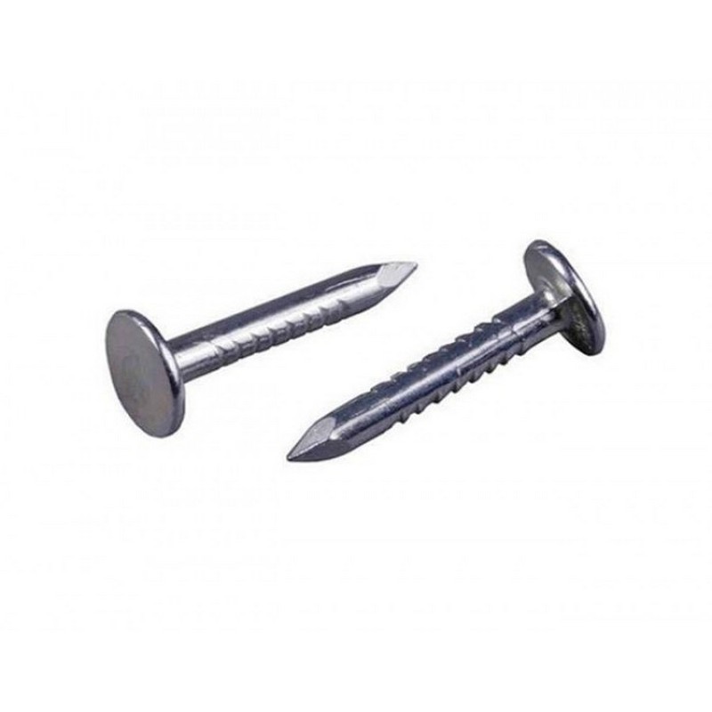 Гвозди оцинкованные Шинглас 30х3,5мм (5)