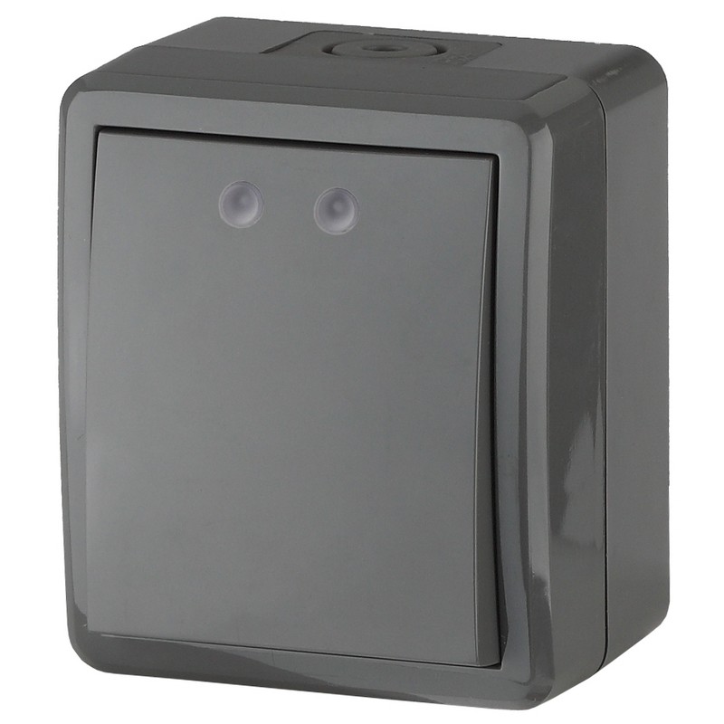 Выключатель о/у 1-кл. 10А IP54 серый ЭРА Эксперт 11-1401-03