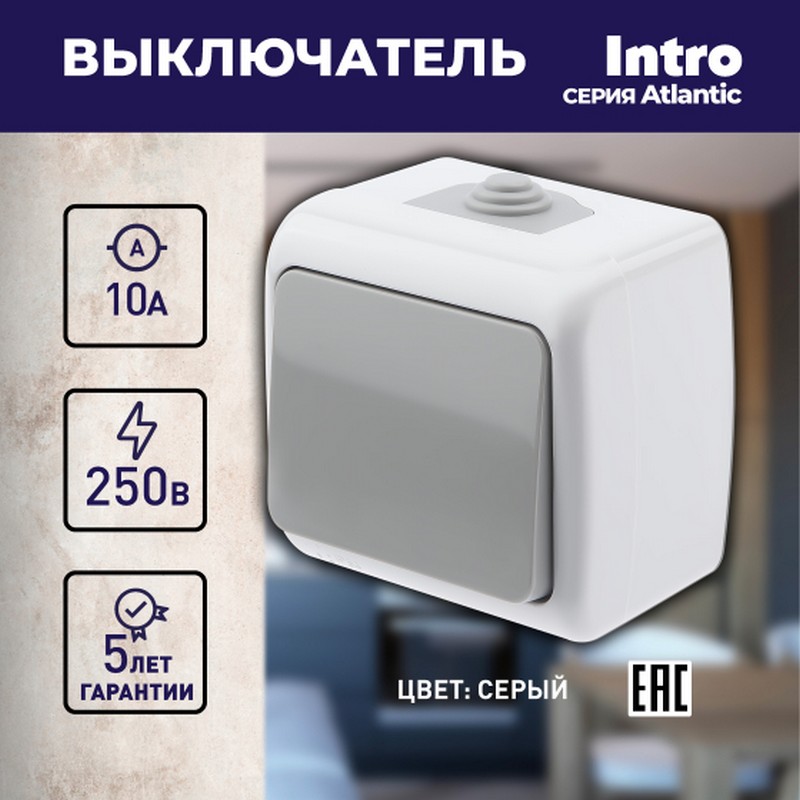 Выключатель о/у 1-кл. 10А IP54 серый Intro Atlantic 5-101-03 Б0050940