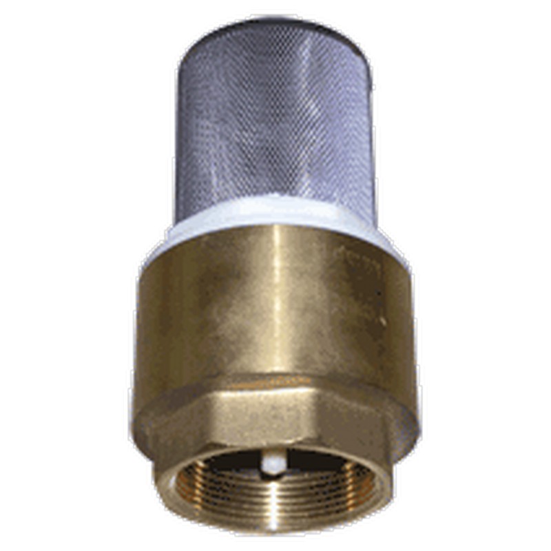 Клапан обратный 1" с фильтром