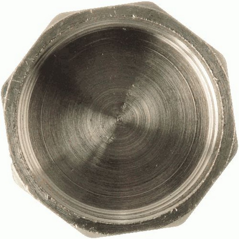 Заглушка на трубу 1,1/4" TRm06034