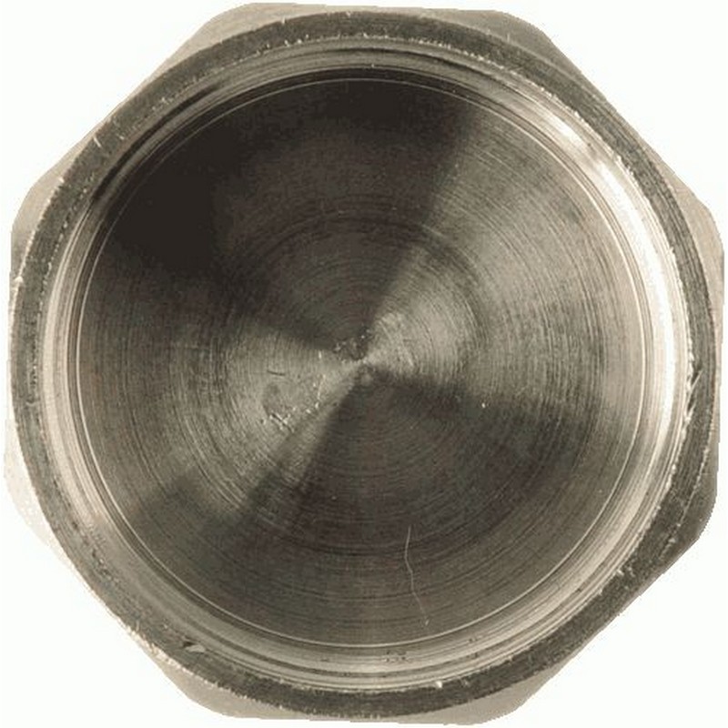 Заглушка на трубу 1,1/2" TRm06035