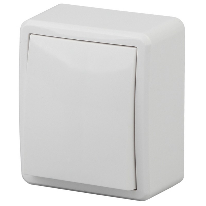 Переключатель о/у 1-кл. белый 10АХ-250В Эра Эксперт 11-1203-01