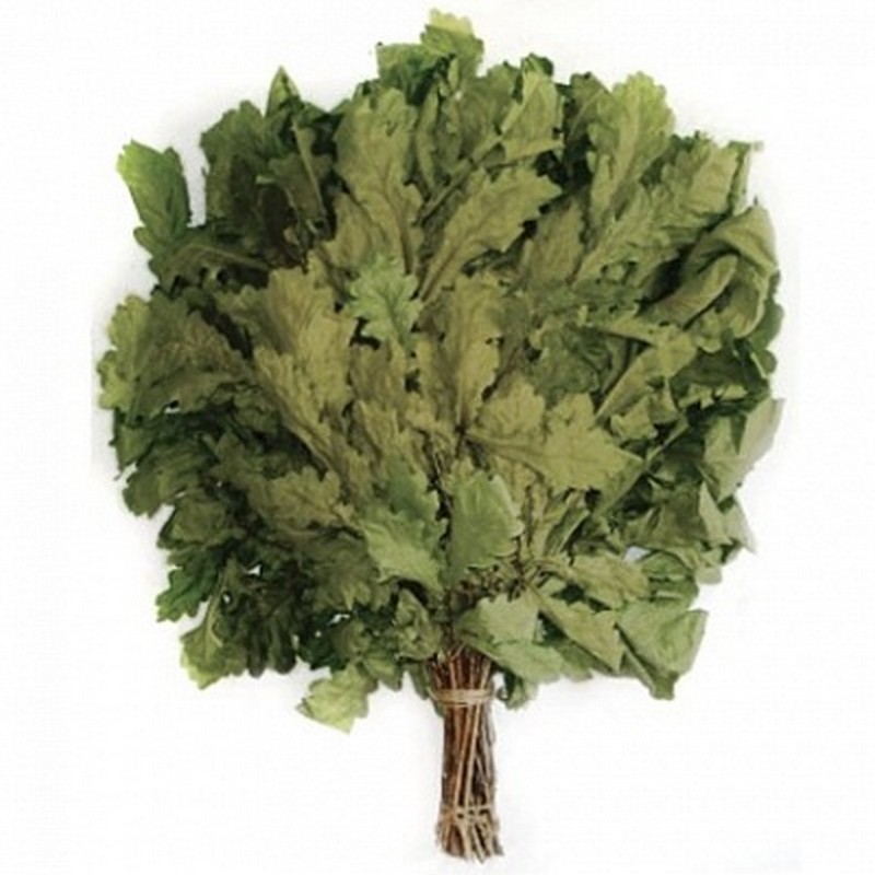 Веник дубовый