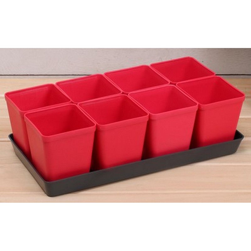 Набор для рассады: стакан 600 мл-8 шт, поддон, МИКС Greengo